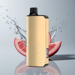 Australia Wholesaler Alibarbar Ingot 9000 Blueberry Blast 22mL 2350mAh LED