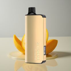 Australia Wholesaler Alibarbar Ingot 9000 Puffs 22ml 2350mAh Mango Magic Disposable Vape LED Display