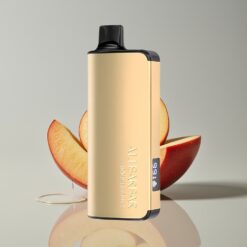 Australia Wholesaler Alibarbar Ingot 9000 Puffs Double Apple 22ml 2350mah LED Display Non Rechargeable