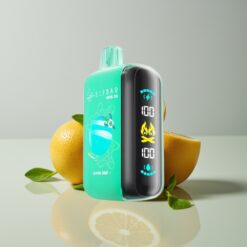 Australia Wholesaler ELF BAR RAYA D3 25000 Alpine Mint Rechargeable 23ml 5% Type-C Large Screen