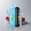 Australia Wholesaler ELF BAR RAYA D3 25000 Blueberry Raspberry 850mAh 23ml 5% Type-C Screen