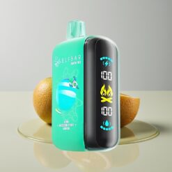 Australia Wholesaler ELF BAR RAYA D3 25000 Puffs Kiwi Passion Fruit Guava Rechargeable 23mL 5% Type-C