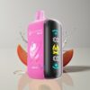 Australia Wholesaler ELF BAR RAYA D3 25000 Puffs Peach Ice 850mAh 23ml 5% Type-C Large Screen