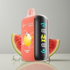 Australia Wholesaler ELF BAR RAYA D3 25000 Puffs Watermelon Lemon Rechargeable 23ml 5% Type-C