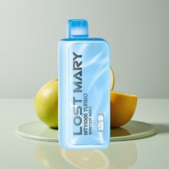 Australia Wholesaler Lost Mary MT15000 Dual Mesh 15K Puffs Vape Winter Mint 11W/22W